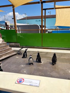 南知多ビーチランド＆南知多おもちゃ王国に投稿された画像（2024/8/18）