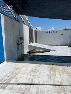 南知多ビーチランド＆南知多おもちゃ王国に投稿された画像（2024/8/18）