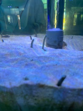 南知多ビーチランド＆南知多おもちゃ王国に投稿された画像（2024/8/18）