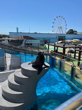 南知多ビーチランド＆南知多おもちゃ王国に投稿された画像（2024/8/18）