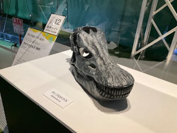 巨大恐竜展2024に投稿された画像（2024/8/16）