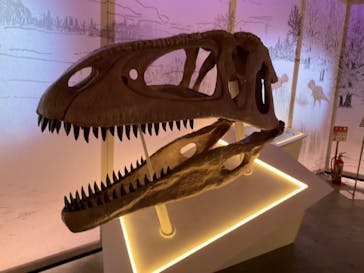 巨大恐竜展2024に投稿された画像（2024/8/16）