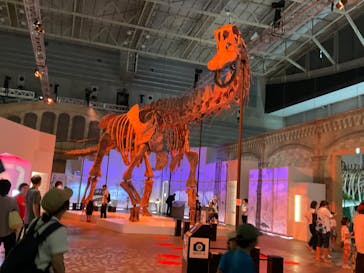 巨大恐竜展2024に投稿された画像（2024/8/16）