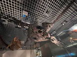 国立科学博物館に投稿された画像（2024/8/18）