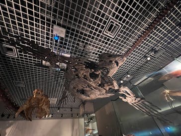 国立科学博物館に投稿された画像（2024/8/18）