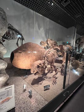 国立科学博物館に投稿された画像（2024/8/18）