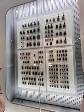 国立科学博物館に投稿された画像（2024/8/18）