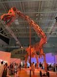 巨大恐竜展2024に投稿された画像（2024/8/18）