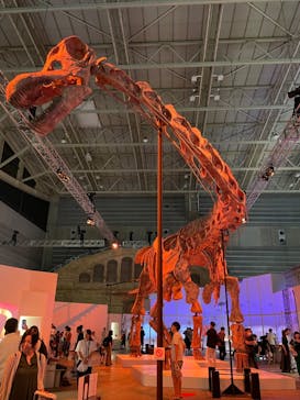 巨大恐竜展2024に投稿された画像（2024/8/18）