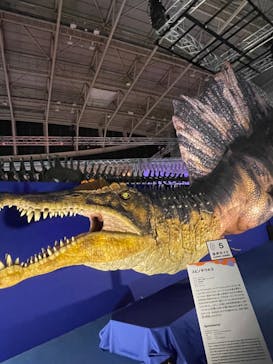 巨大恐竜展2024に投稿された画像（2024/8/18）