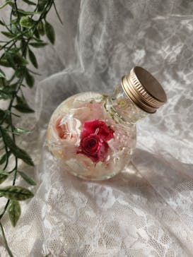 ずこうしつ〜sugamo〜に投稿された画像（2024/8/18）