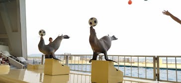 マリンワールド海の中道に投稿された画像（2024/8/18）