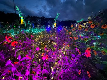 せんだい農業園芸センター　みどりの杜に投稿された画像（2024/8/18）