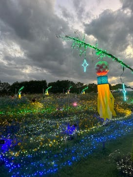 せんだい農業園芸センター　みどりの杜に投稿された画像（2024/8/18）