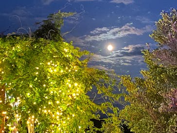 せんだい農業園芸センター　みどりの杜に投稿された画像（2024/8/18）