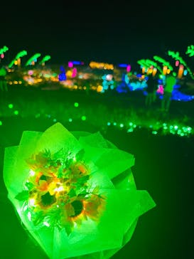 せんだい農業園芸センター　みどりの杜に投稿された画像（2024/8/18）