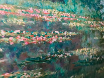 モネ＆フレンズ・アライブに投稿された画像（2024/8/18）