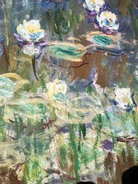 モネ＆フレンズ・アライブに投稿された画像（2024/8/18）