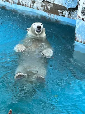 天王寺動物園に投稿された画像（2024/8/18）