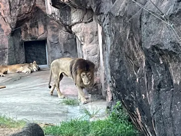 天王寺動物園に投稿された画像（2024/8/18）