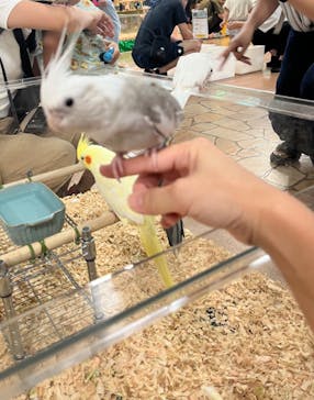 いきもの探検隊上尾に投稿された画像（2024/8/18）