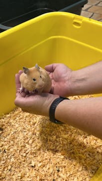 いきもの探検隊上尾に投稿された画像（2024/8/18）