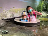 仙台うみの杜水族館に投稿された画像（2024/8/18）