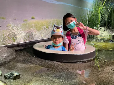 仙台うみの杜水族館に投稿された画像（2024/8/18）