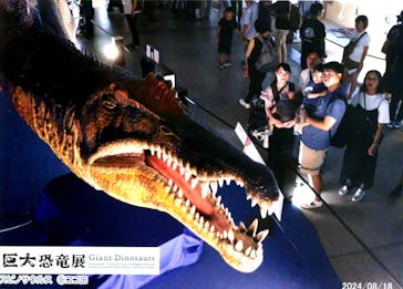 巨大恐竜展2024に投稿された画像（2024/8/18）