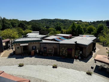 ニジゲンノモリに投稿された画像（2024/8/18）