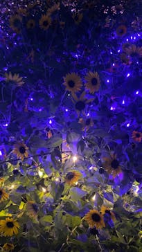 せんだい農業園芸センター　みどりの杜に投稿された画像（2024/8/18）