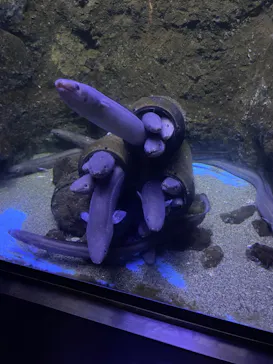 仙台うみの杜水族館に投稿された画像（2024/8/18）