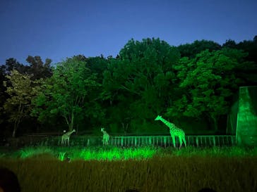 名古屋市東山動植物園に投稿された画像（2024/8/18）