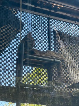 名古屋市東山動植物園に投稿された画像（2024/8/18）