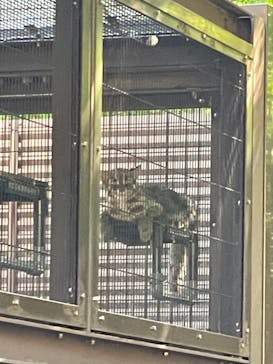 名古屋市東山動植物園に投稿された画像（2024/8/18）