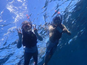 オレンジフィッシュに投稿された画像（2024/8/18）