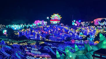 伊豆ぐらんぱる公園に投稿された画像（2024/8/18）