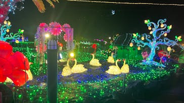 伊豆ぐらんぱる公園に投稿された画像（2024/8/18）