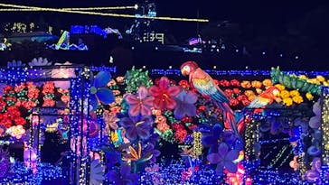 伊豆ぐらんぱる公園に投稿された画像（2024/8/18）