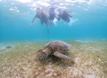 宮古島マリン GB QUESTに投稿された画像（2024/8/18）