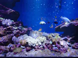 仙台うみの杜水族館に投稿された画像（2024/8/19）