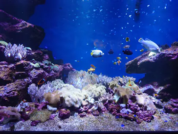 仙台うみの杜水族館に投稿された画像（2024/8/18）