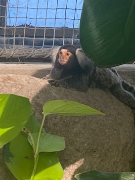 神戸どうぶつ王国に投稿された画像（2024/8/18）