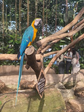 神戸どうぶつ王国に投稿された画像（2024/8/18）