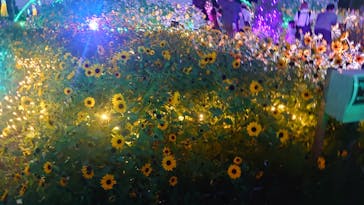 せんだい農業園芸センター　みどりの杜に投稿された画像（2024/8/18）