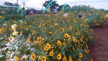 せんだい農業園芸センター　みどりの杜に投稿された画像（2024/8/18）