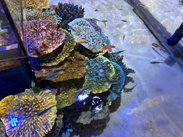 竹島水族館に投稿された画像（2024/8/18）