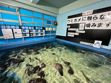 竹島水族館に投稿された画像（2024/8/18）