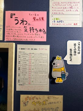 竹島水族館に投稿された画像（2024/8/18）