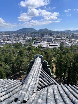 松江城に投稿された画像（2024/8/18）